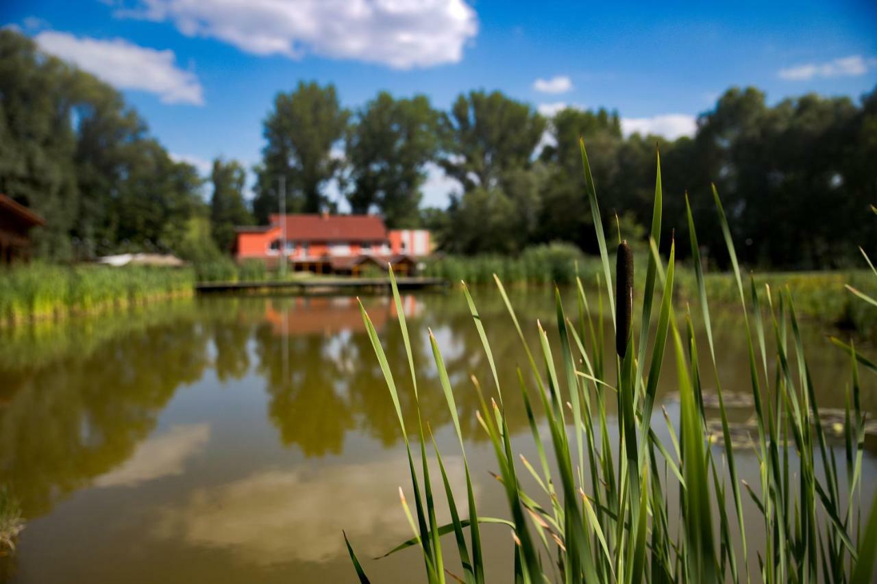 Penzion Amfik Bukovina Popovice  Kültér fotó
